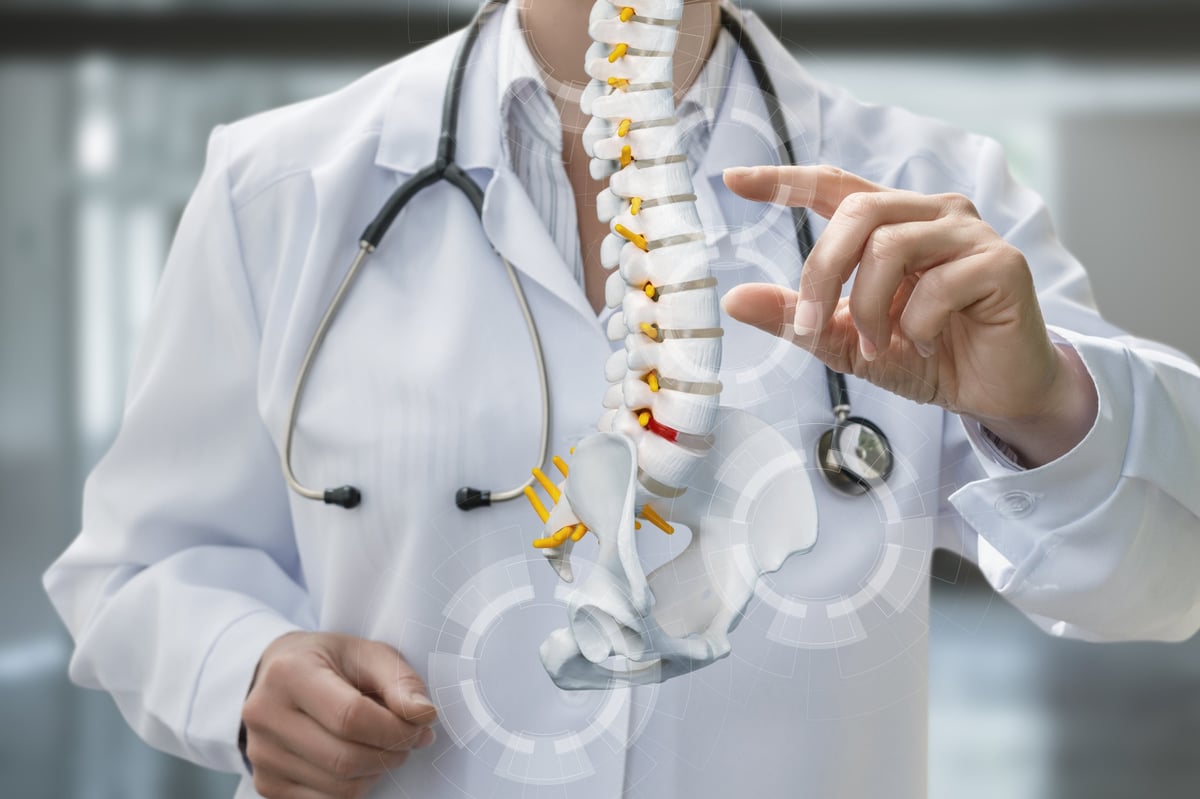 Spine anatomy illustration
