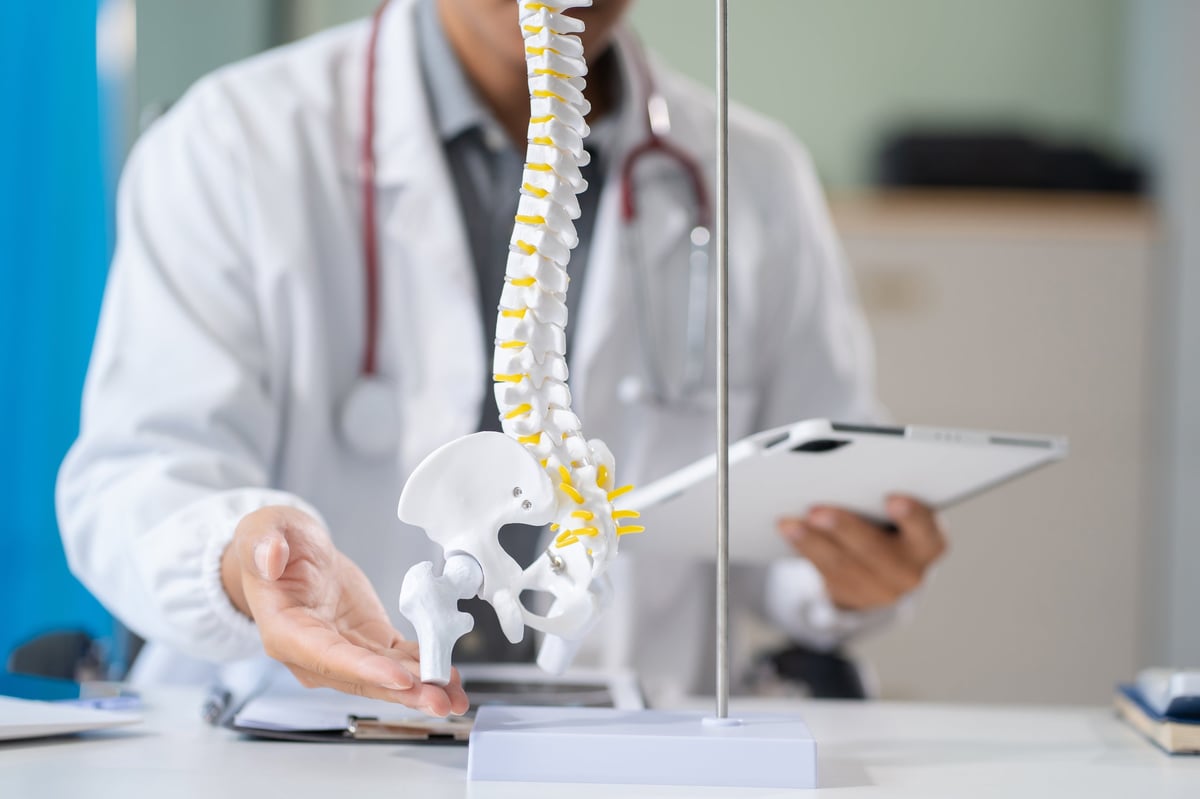 Spine model for patient education